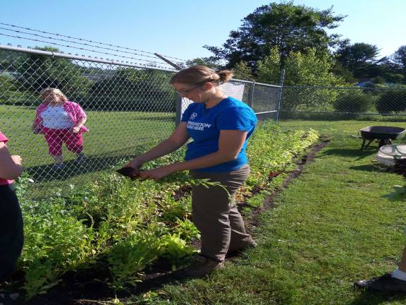 The Milford Community Garden (File photo by Charles Reynolds)