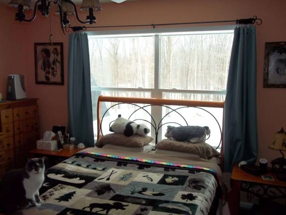 Immaculate bi-level with custom upgrades