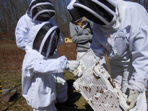 (Photo: lackawanna.edu)