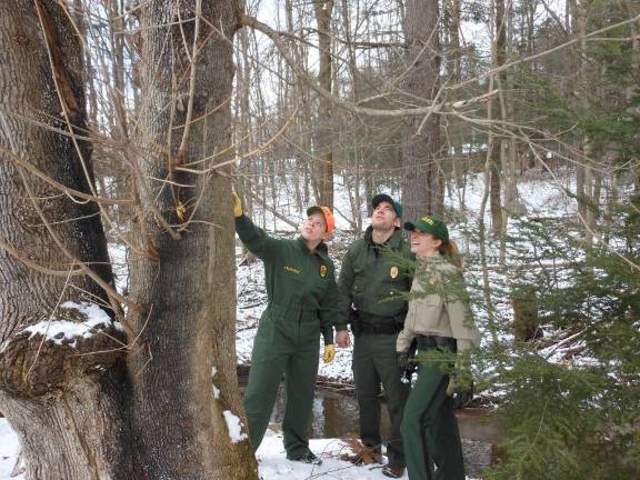 (Photo: Lackawanna College: lackawanna.edu)