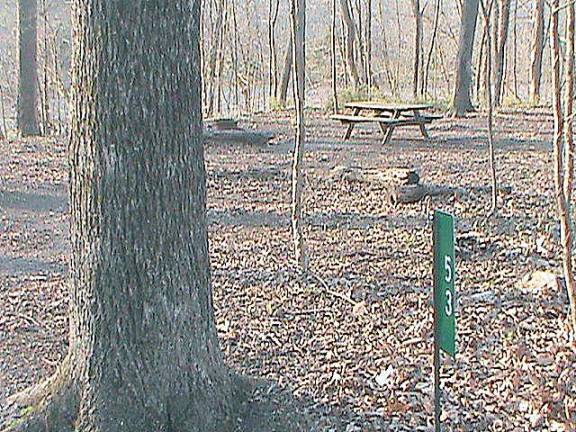 Dingmans Campground is closed through May 22