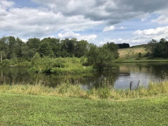 With 140 acres of forests, meadows, ponds, wetlands, and trails, the Van Scott Nature Reserve features abundant opportunities for environmental education and outdoor recreation.