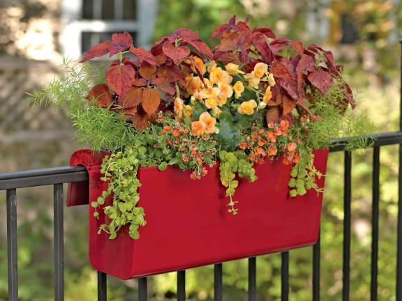 Photo courtesy of Gardener's Supply Company Railing planters filled with colorful combinations can add sparkle to balconies, decks and porches.
