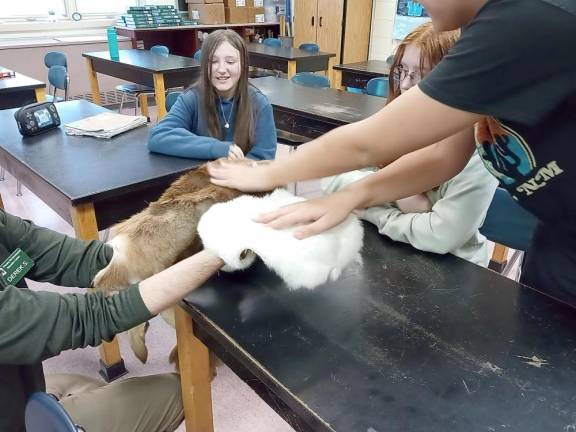 The students also had the opportunity to feel different animal furs.