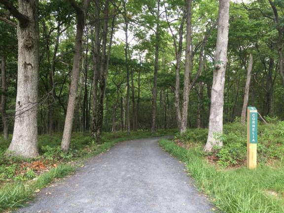 The Cornelia Trail at the Bridge Preserve (Photo provided)