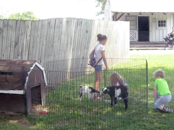 Visitors make goat friends at Space Farms (Photo by Janet Redyke)