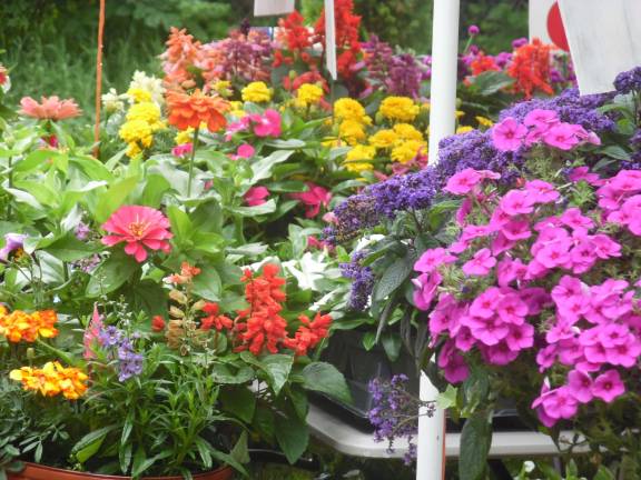 Flowers at the stand in Milford Garden Club's Remembrance Place.