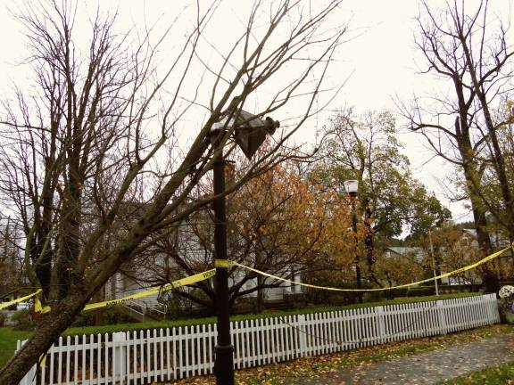 A tree leans in Milford after Hurricane Sandy in 2012. (File photo by Charles Reynolds)
