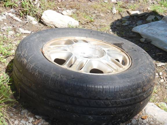 Too many people sling their old tires into the river, like this one fished up this year. Last year 244 tires were recovered. The record is 1,004 tires collected in 1993. (Photo by Anya Tikka)