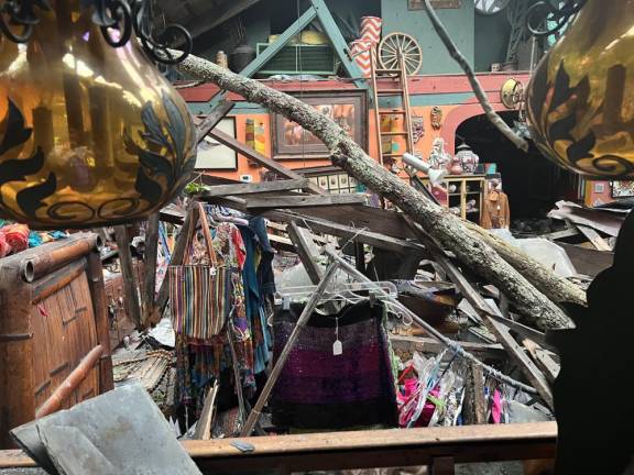 An old ash tree keeled over and ripped out the entire center of Phoenix, the iconic store on Route 209 owned by Doug Cosh on July 29. Photos provided by Doug Cosh.
