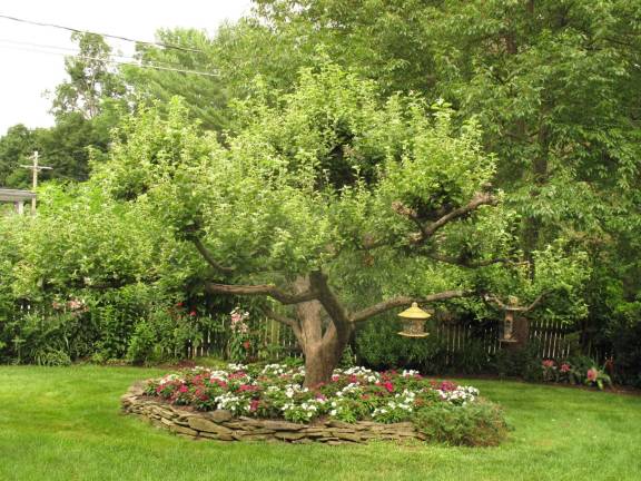 Get in on a secret — Milford's gardens