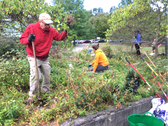 Delaware Water Gap NRA staff and volunteers participate in a volunteer project at the Milford Beach plaza.