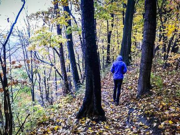 Photo by Chris Gardiner Photography / Creative Commons