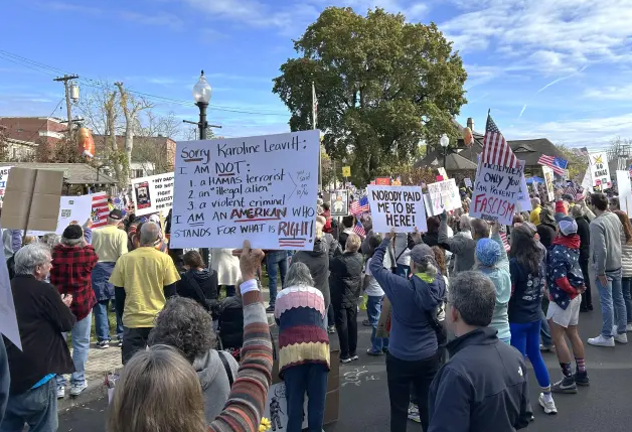 Crowd at 2025 No Kings event in Warwick, N.Y.