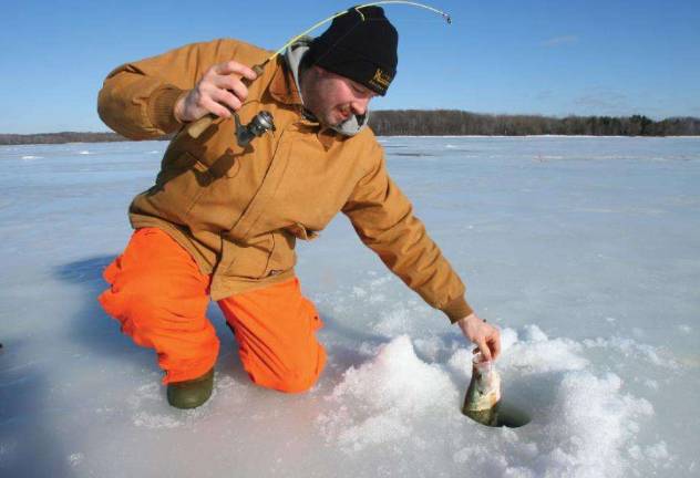 Rule number one: 'No life is worth the fish'