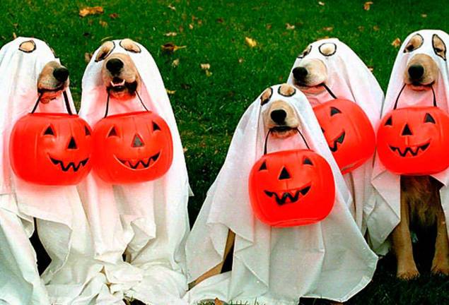 Their photo opportunity awaits at Tractor Supply