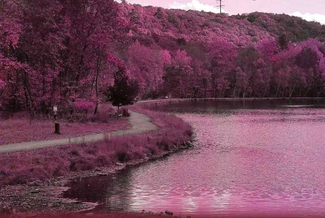 Pink Light Walk to raise breast cancer awareness