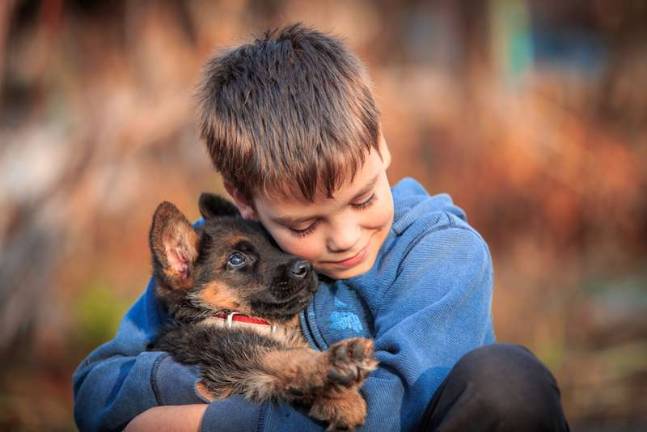 Milford Tractor Supply to hold pet adoption event