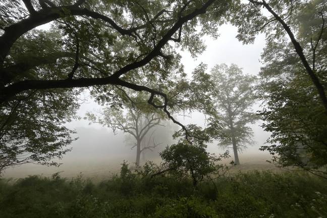 The Gifford Pinchot Audubon Society will lead two spring bird walks this May.