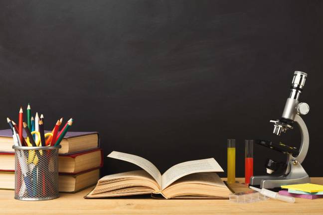 Dingman Delaware Middle School Honor Rolls