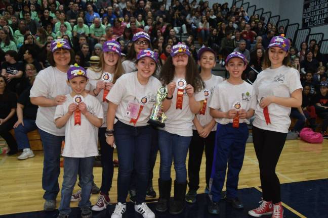 Problem 2, Division II — 2nd place, Delaware Valley Middle School