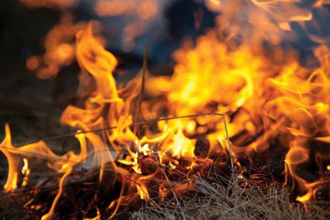 Officials: 2 large brush fires were intentionally set