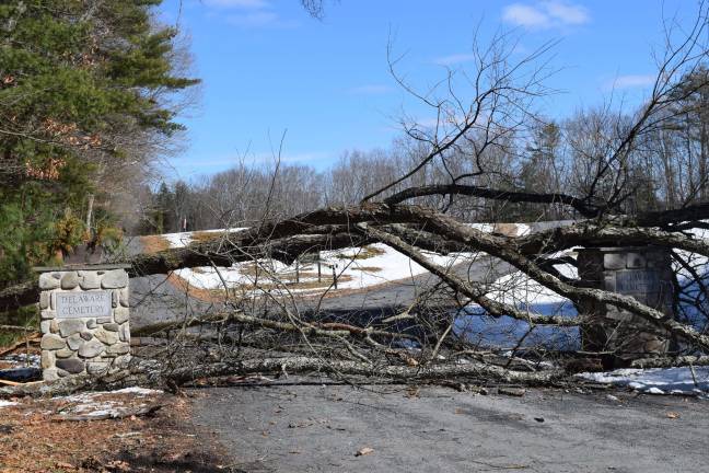 Photo by Erika Norton This tree was blocking the entrance to the Delaware Cemetery on Route 739 in Dingmans Ferry.