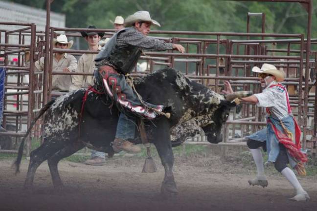 A rodeo clown jumps out of the way.