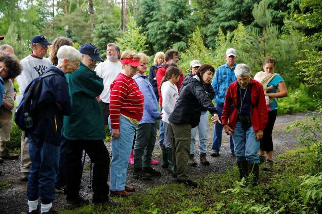 Dr. Ann Rhoads leads a native plants walk (Photo provided)