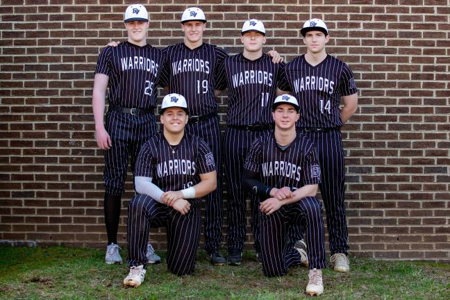 The Delaware Valley High School baseball team.