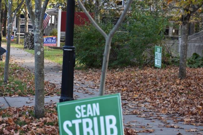 Strub and Emery signs are fairly evenly distributed around the borough. (Photo by Becca Tucker)