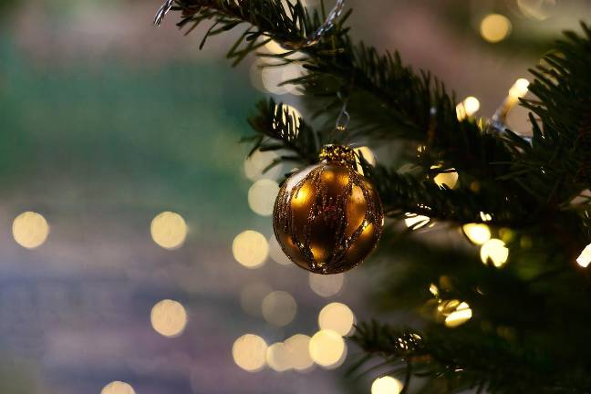 Tree lighting ceremony kicks of festive community season