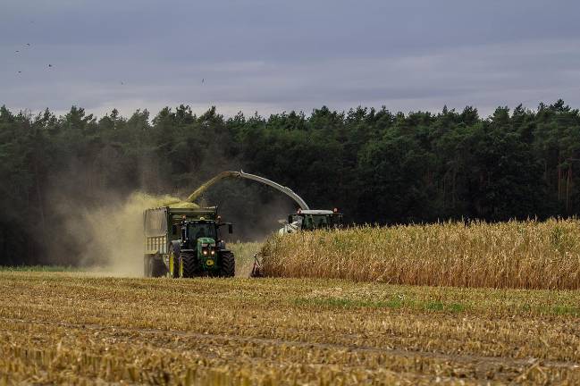 SNAP cuts could hurt area farms, families
