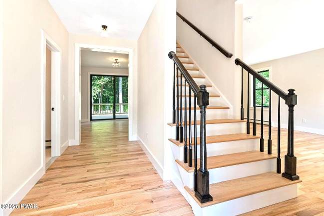 Brand new custom 4-bedroom, 3-bath home is surrounded by nature