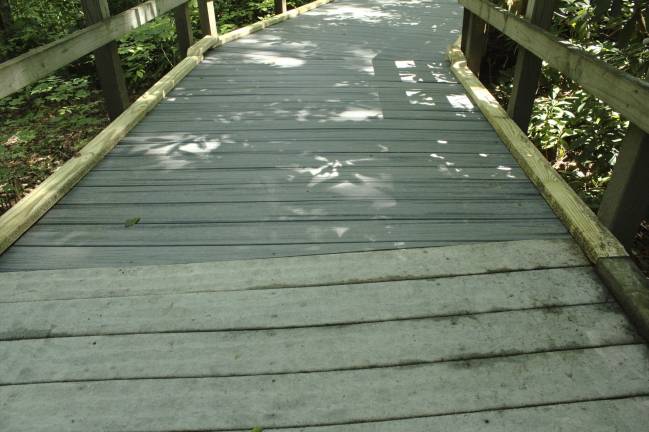This photo shows where the old boards meet the new, which are of improved materials that will allow for better traction and maintenance (Photo by Pamela Chergotis)