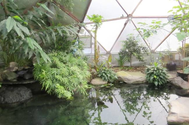Inside the bio dome