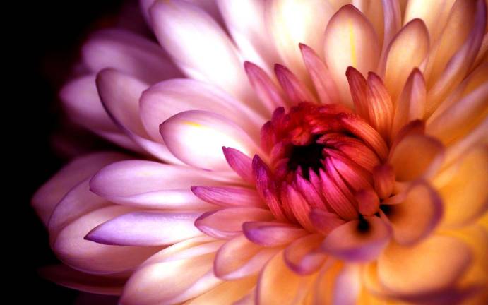 Mum sale is here