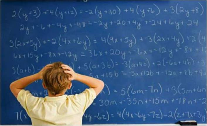 Delaware Valley Middle School Honor Roll