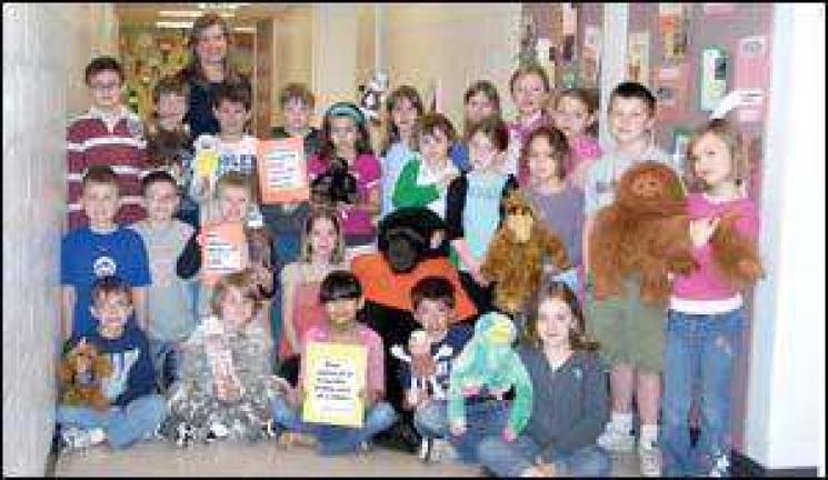 Video-conferencing the animal kingdom