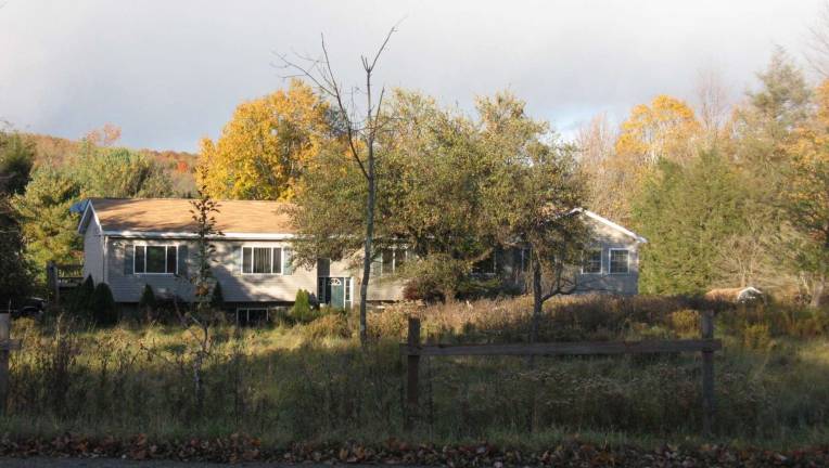 The France house, with its overgrown 10-acre property (Photo by Ginny Privitar)