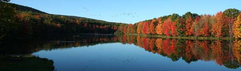 Penn's Woods have nation's best foliage