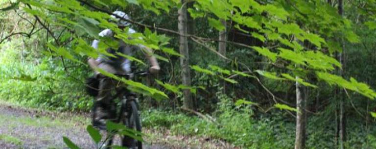 Two miles of McDade Trail to close