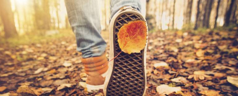 Sit all day? An hour's walk undoes the harm