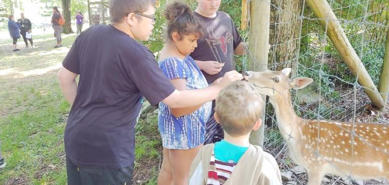 Country Ark Farm camp ends, making way for much else