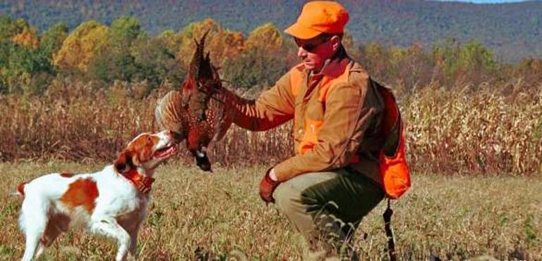 Photo: Pennsylvania Game Commission