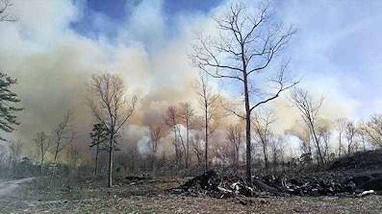 A scene of devastation from the 16-Mile Fire (Photo: Department of Conservation and Natural Resources: apps.dcnr.state.pa.us)