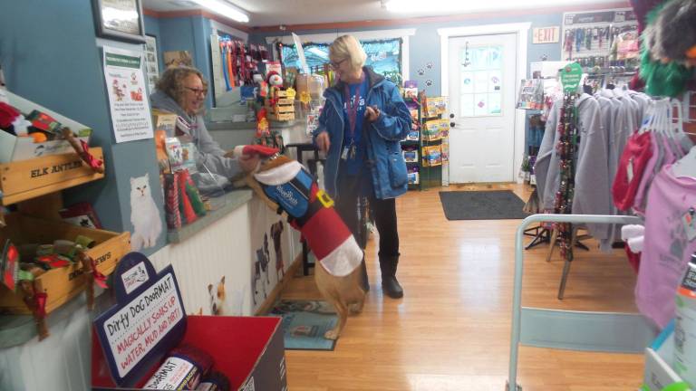Christina Kotar, behind the counter, chats with Chrisanne Cubby and Benni (Photo by Frances Ruth Harris)