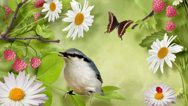 Learn how to attract birds and butterflies at Belle Reve