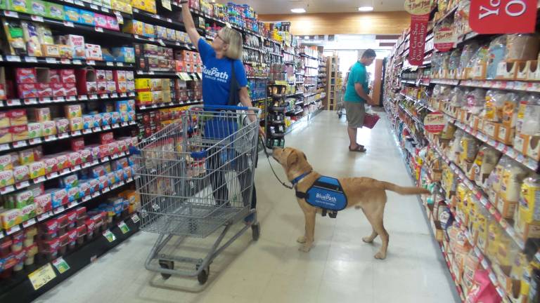Chrisanne Cubby and Benni at Key Foods in Milford (Photo by Frances Ruth Harris)
