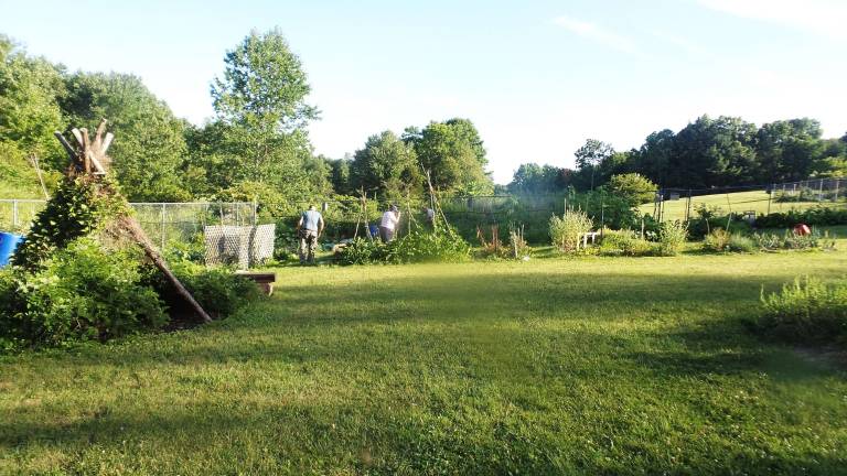 Rad Razberries celebrate season of abundance